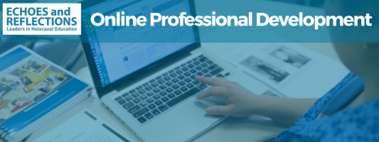 Online Professional Development
