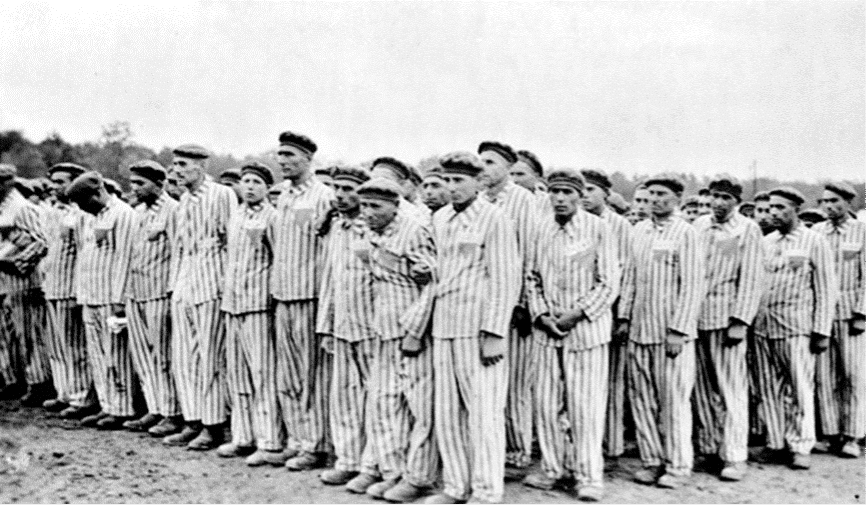 Gay Men Persecuted by the Nazis